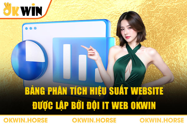 Bảng phân tích hiệu suất website được lập bởi đội it web okwin