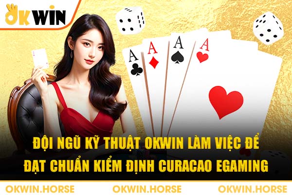 Đội ngũ kỹ thuật Okwin làm việc để đạt chuẩn kiểm định Curacao eGaming