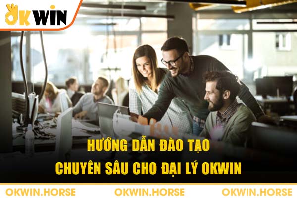 Hướng dẫn đào tạo chuyên sâu cho đại lý okwin