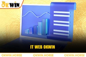 it web okwin