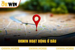 okwin hoạt động ở đâu